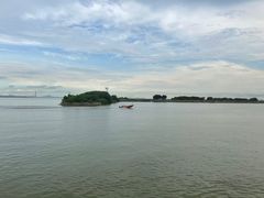 -大湾区中央湿地公园-十九涌