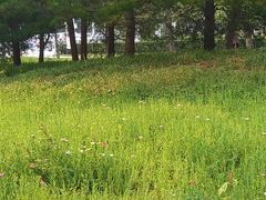 -元大都城垣遗址公园