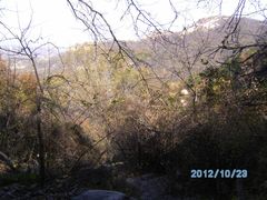 -鲁山国家森林公园