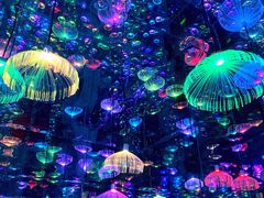 -梵高星空艺术馆(北京旗舰店)