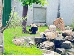 -沈阳森林动物园