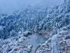 -金子山原生态旅游风景区