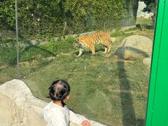 -泉州海丝野生动物世界