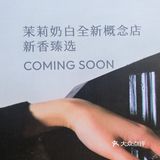 今天路过中洲湾发现茉莉奶白升级了 全新概念店
