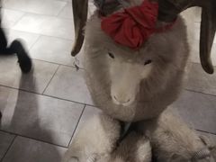 -羊肉街口老银川滩羊涮肉馆