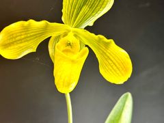 -北京植物园-展览温室