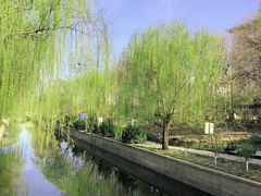 -元大都城垣遗址公园