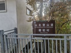 -紫金山山顶公园