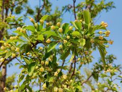 -北京西山国家森林公园