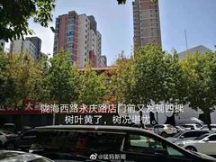 -阿五黄河大鲤鱼(英协路店)