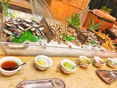 -济南喜来登酒店-盛宴自助西餐厅·综合自助