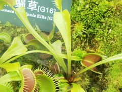 -国家植物园南园