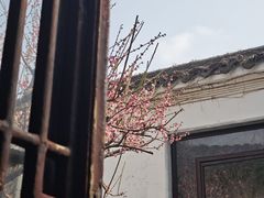 -沧浪亭