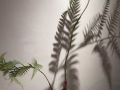-宴武夷·匠心闽味(印象大红袍店)