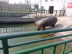 -宿豫区运河湾森林动物园