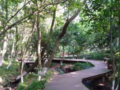 -杭州半山国家森林公园