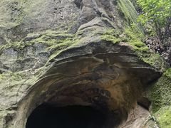 -缙云山景区