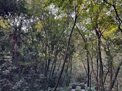 -杭州半山国家森林公园