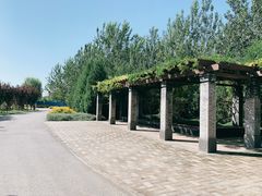 -永定河休闲森林公园