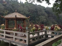 -李小龙乐园(顺德均安店)