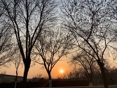 -北京国家会计学院