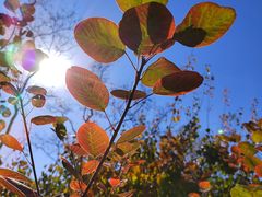 -北京西山国家森林公园