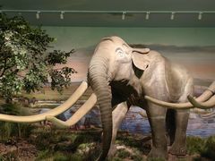 -湖南省地质博物馆