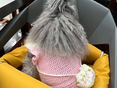 -呼吉牧蒙古烤肉·烧烤·小龙虾