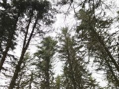 -硗碛藏寨·神木垒景区