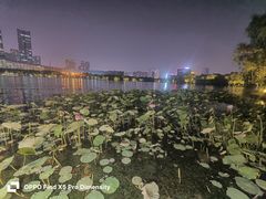 -天鹅湖体育公园
