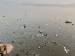 -深圳湾公园(南山区)