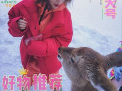 -长白山华美胜地滑雪场