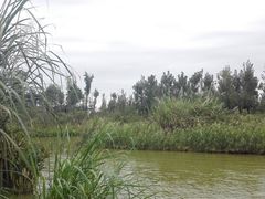 -白鹭湾湿地公园