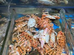 -加餐海鲜自助(宝龙一城店)