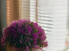 -羽山料理
