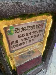 -欢乐舟·舟舟玩乐园