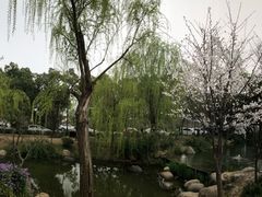 -香雪海