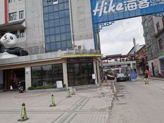 -麗枫(广州番禺长隆南村万博地铁站店)