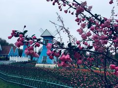 -宜兴龙背山森林公园