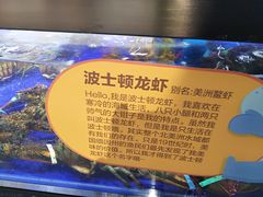-盒马鲜生(新都心店)