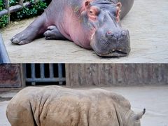 -济南野生动物世界