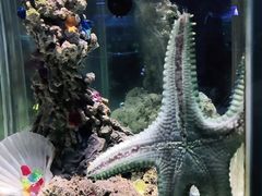 -太平洋海底世界