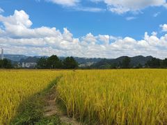 -龙里油画大草原旅游区