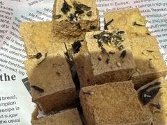 -孖记茶档·热腾茶餐(荔湾领展广场店)