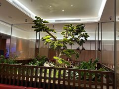 -眉州东坡(大悦城店)