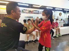 -温鉴良实用咏春拳