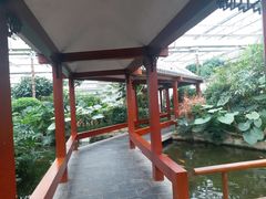 -汤山翠谷生态餐厅