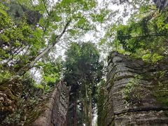 -梭布垭石林景区