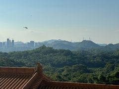 -深圳仙湖植物园