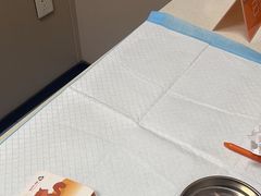 -瑞鹏宠物医院·爱宠堂·骨外专科(西荷分院)